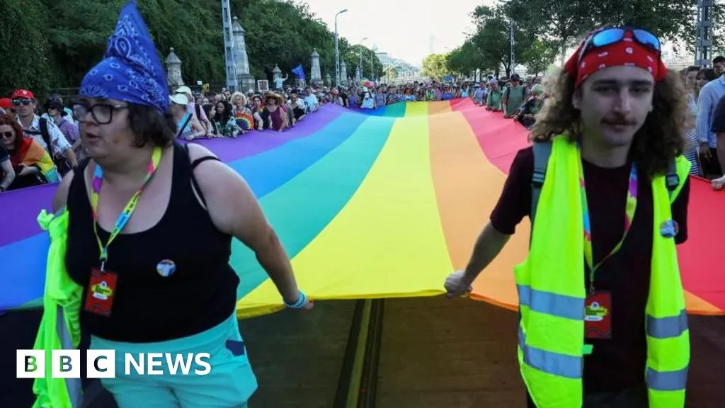 Unprecedented ruling finds Hungary's anti-LGBTQ laws in breach of EU values