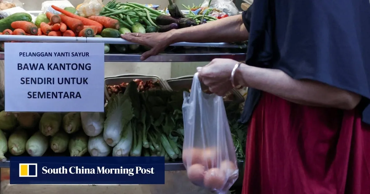 Mixed bag: Indonesia’s 8% growth dream hits a plastic ceiling