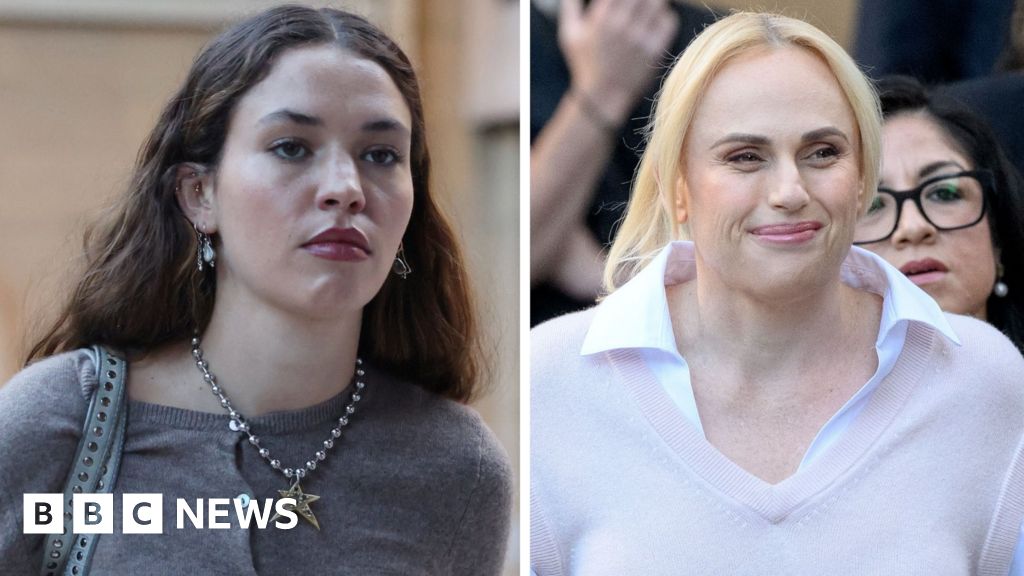What happened when Rebel Wilson gave evidence in court?