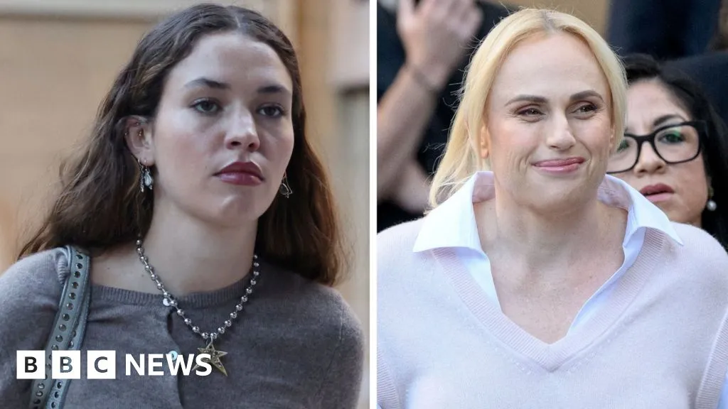 What happened when Rebel Wilson gave evidence in court?