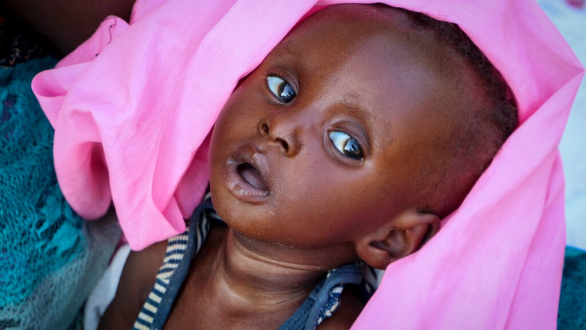 Nearly eight million people in South Sudan at risk of acute hunger: NGOs