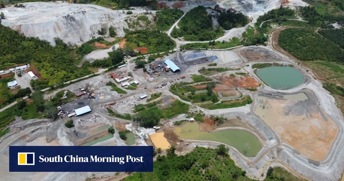 Tropical rainforest loss eases after record year, but still ‘11 football fields a minute’