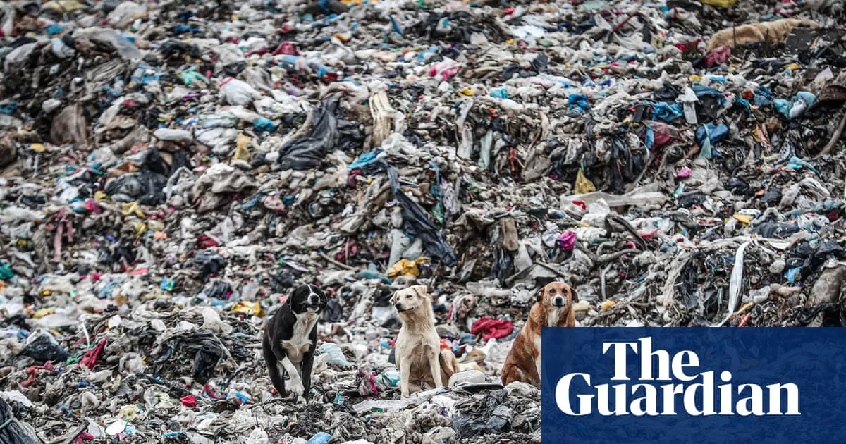 Germany was largest exporter of plastic waste in 2025, sending 810,000 tonnes overseas, analysis finds