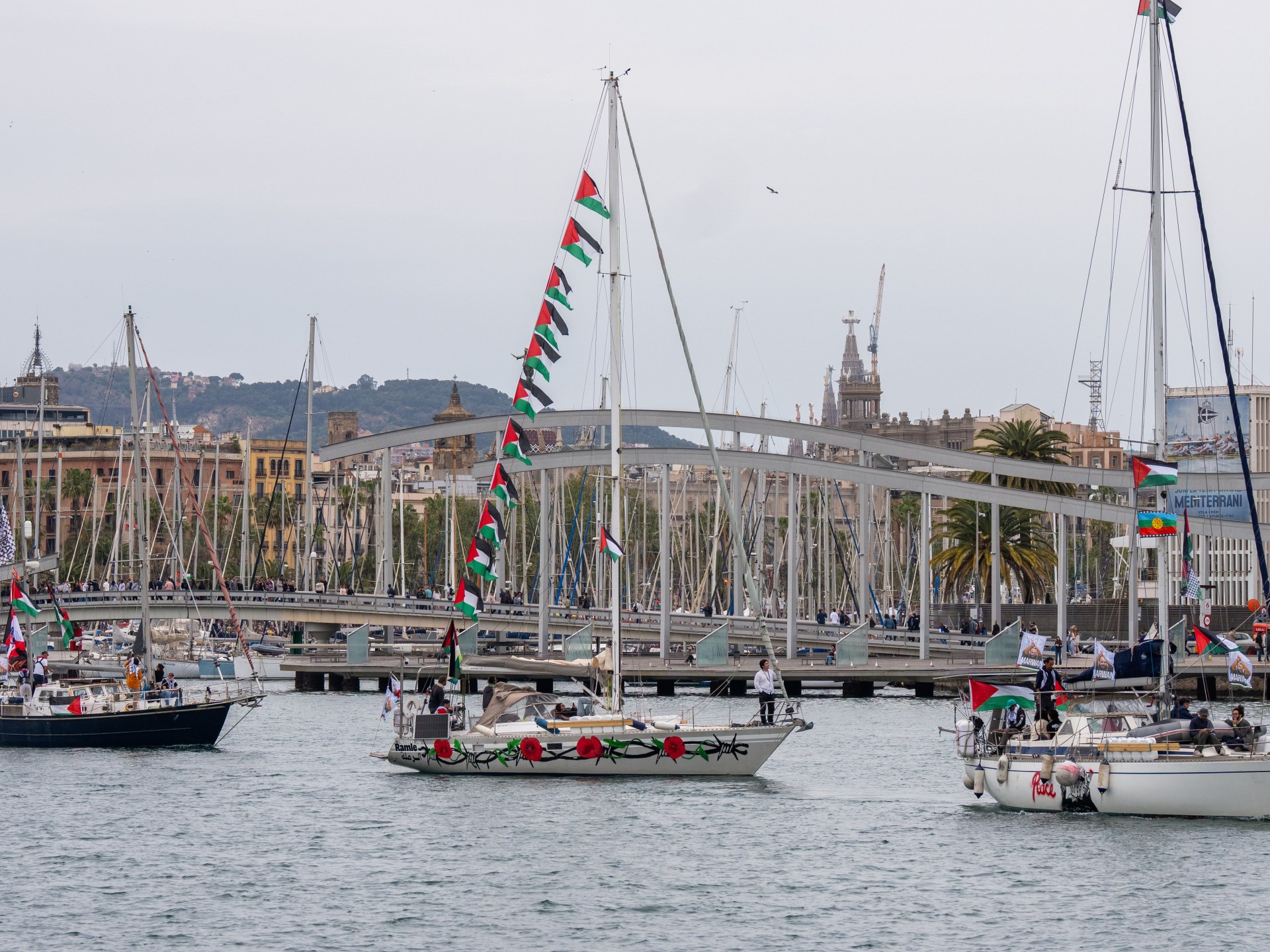RSF condemns ‘kidnapping’ of three journalists on board Gaza aid flotilla
