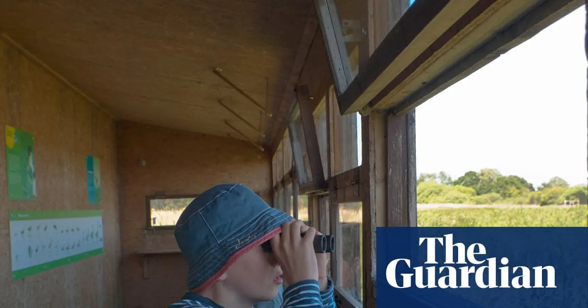 Gen Z leads birdwatching boom as more Britons reach for the binoculars