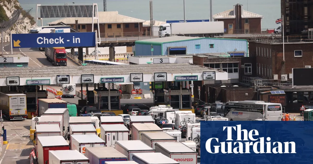 Dealing with post-Brexit paperwork ‘pure hell’, shipping head tells MPs