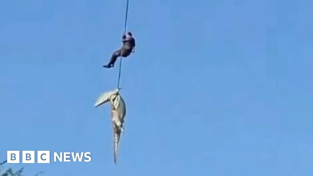 Police officer lowered into crocodile-infested river to recover human remains