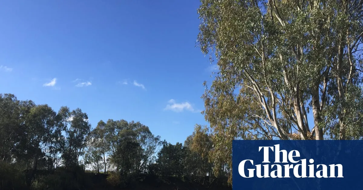 Baby found dead at Wagga beach homeless encampment as mother and another infant taken to hospital
