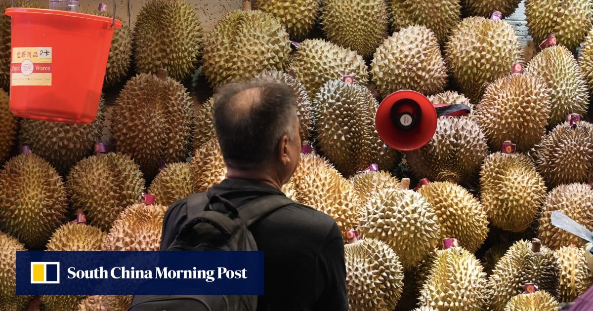 Cheaper durians for China, Hong Kong helpers camp in tents: 5 weekend reads you missed