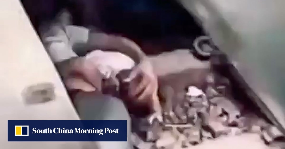 Viral video of Bangladeshi father saving baby under moving train raises safety concerns