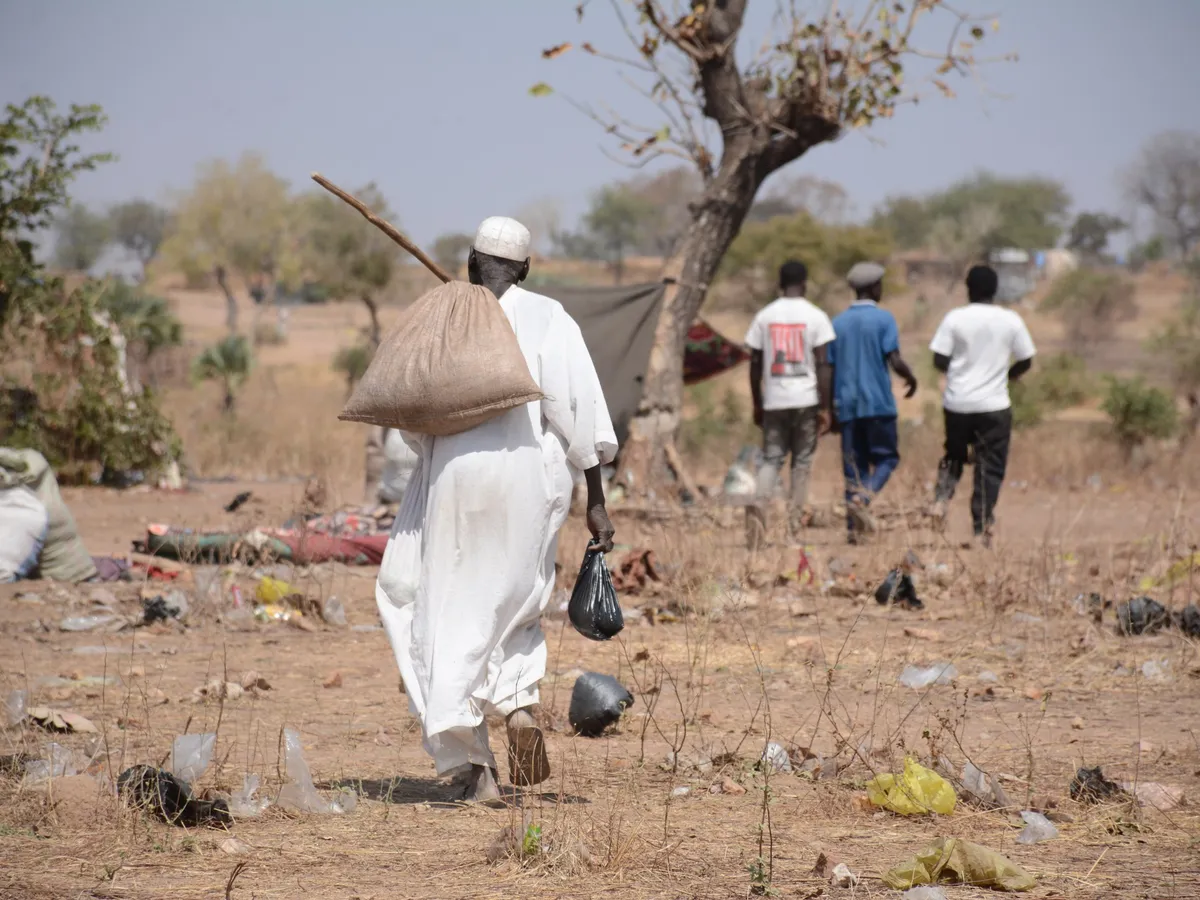 Satellite imagery reveals how Sudan’s war scorched its ‘breadbasket’