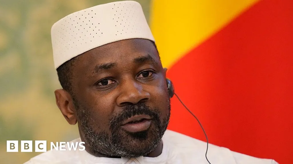 Mali junta leader names himself defence minister after predecessor killed
