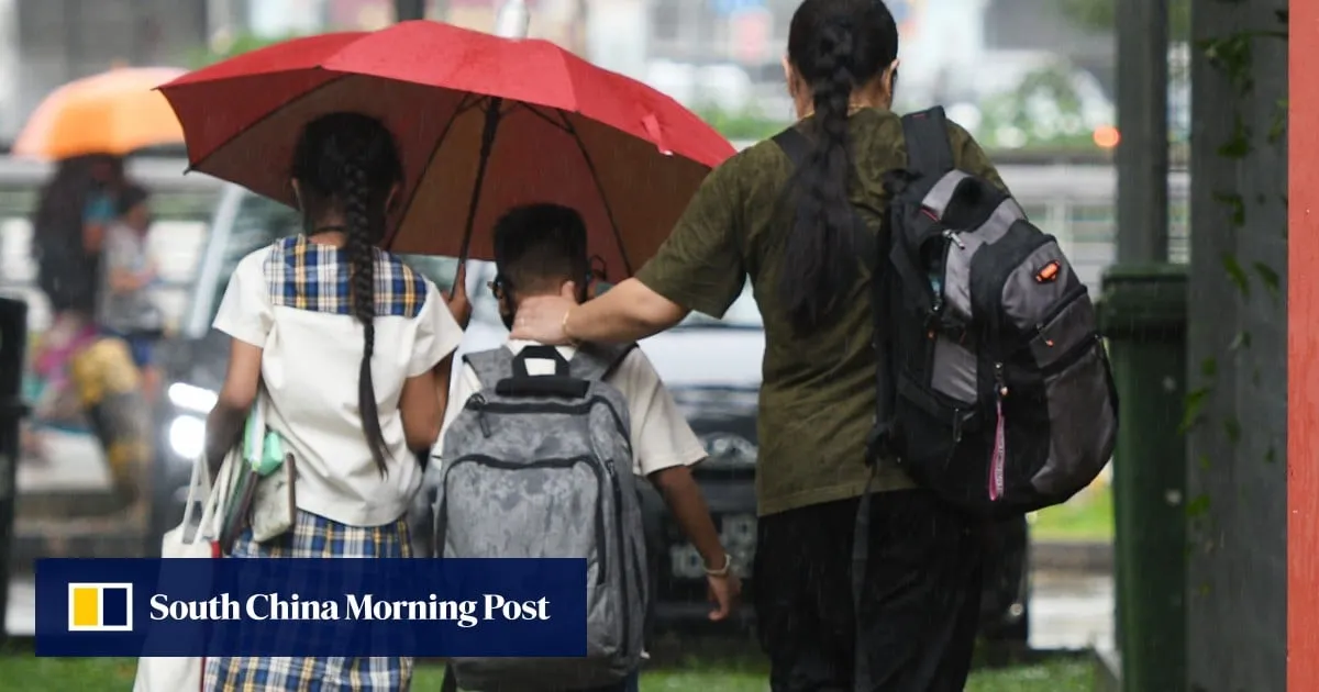 Caning for Singapore school bullies? Only as last resort, education minister says