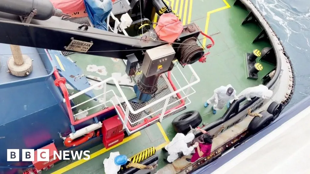 Hantavirus may have spread between passengers on cruise ship, WHO says