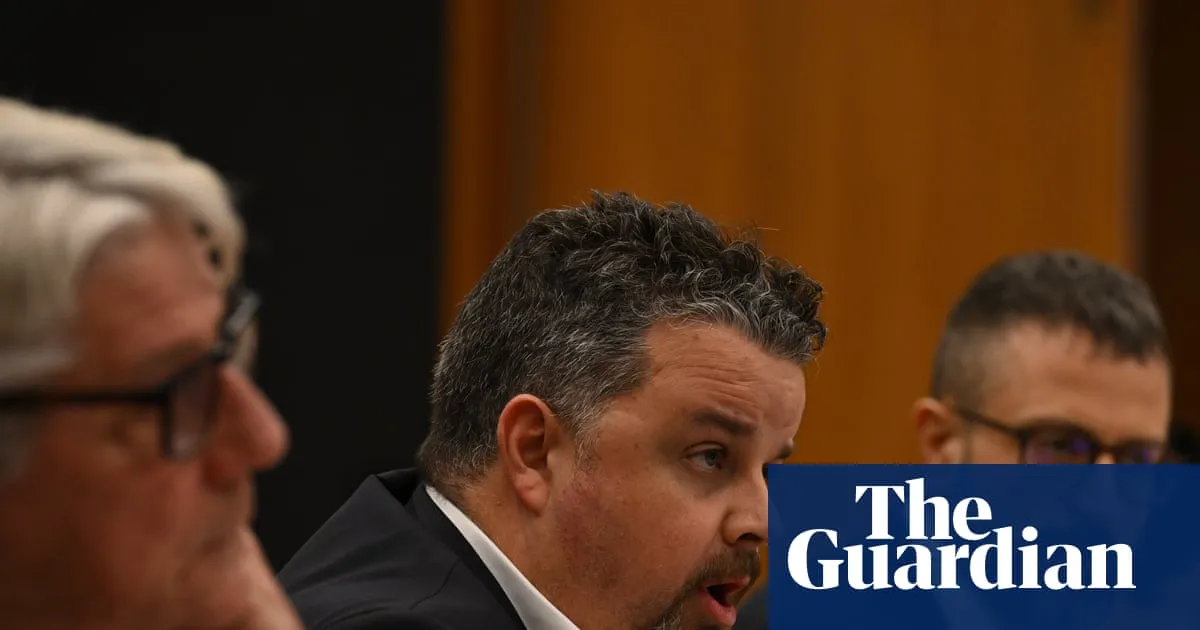 ‘Not a good look’: witnesses refuse to appear before NSW parliamentary hearings after court ruling
