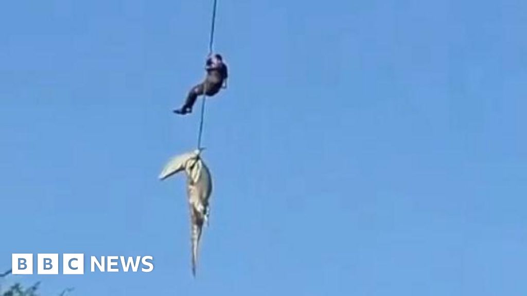 'I had to stick to the plan': Officer describes retrieving crocodile with human remains inside