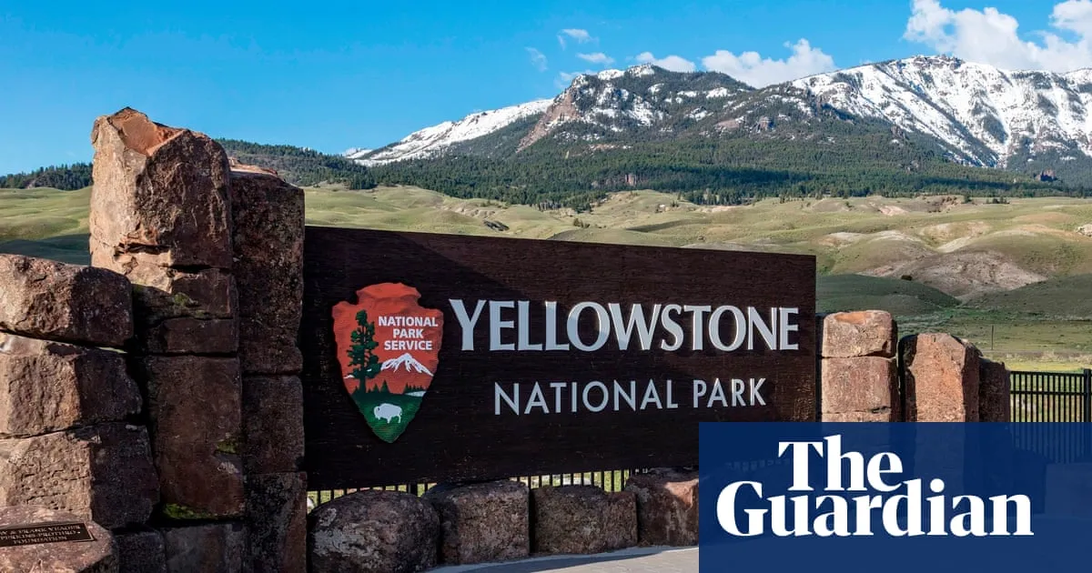 Two hikers injured in US bear attack on Yellowstone trail