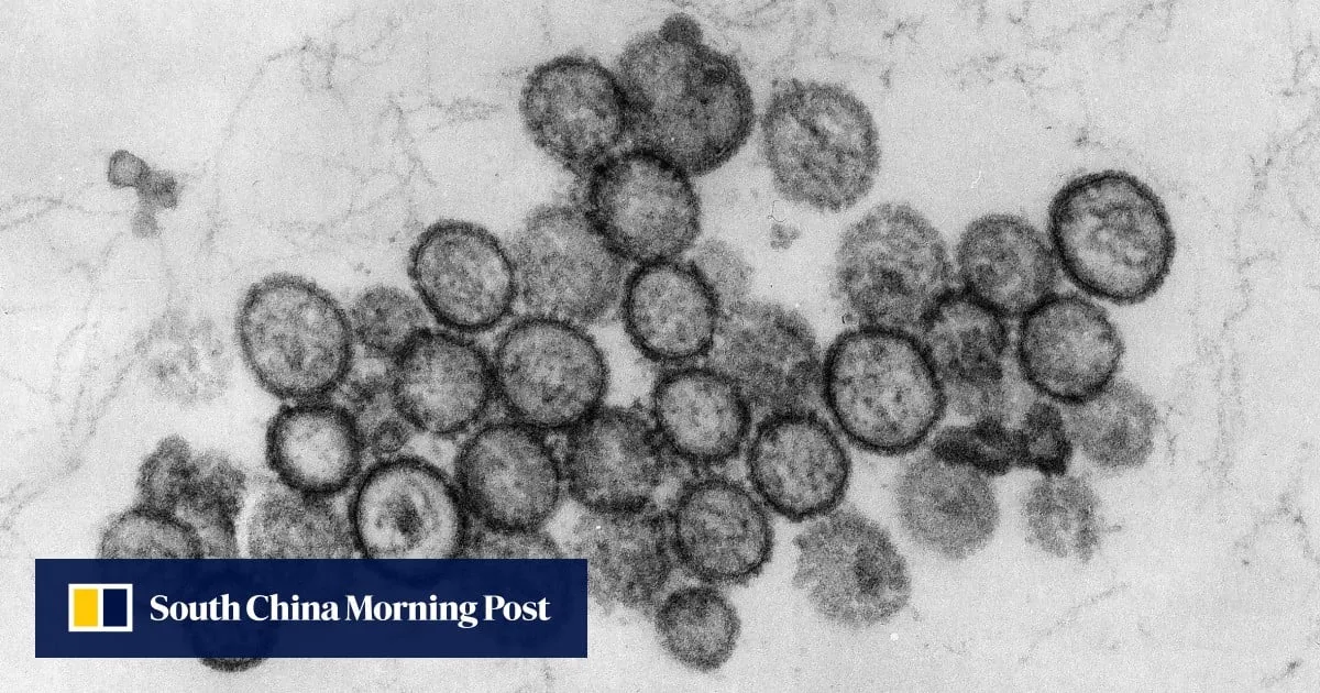 Hong Kong seeks more details from WHO on hantavirus outbreak on cruise ship