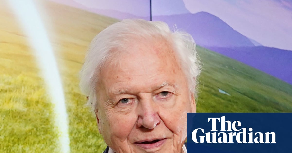 ‘The greatest ambassador for life on Earth’: Tributes paid to David Attenborough on his 100th birthday