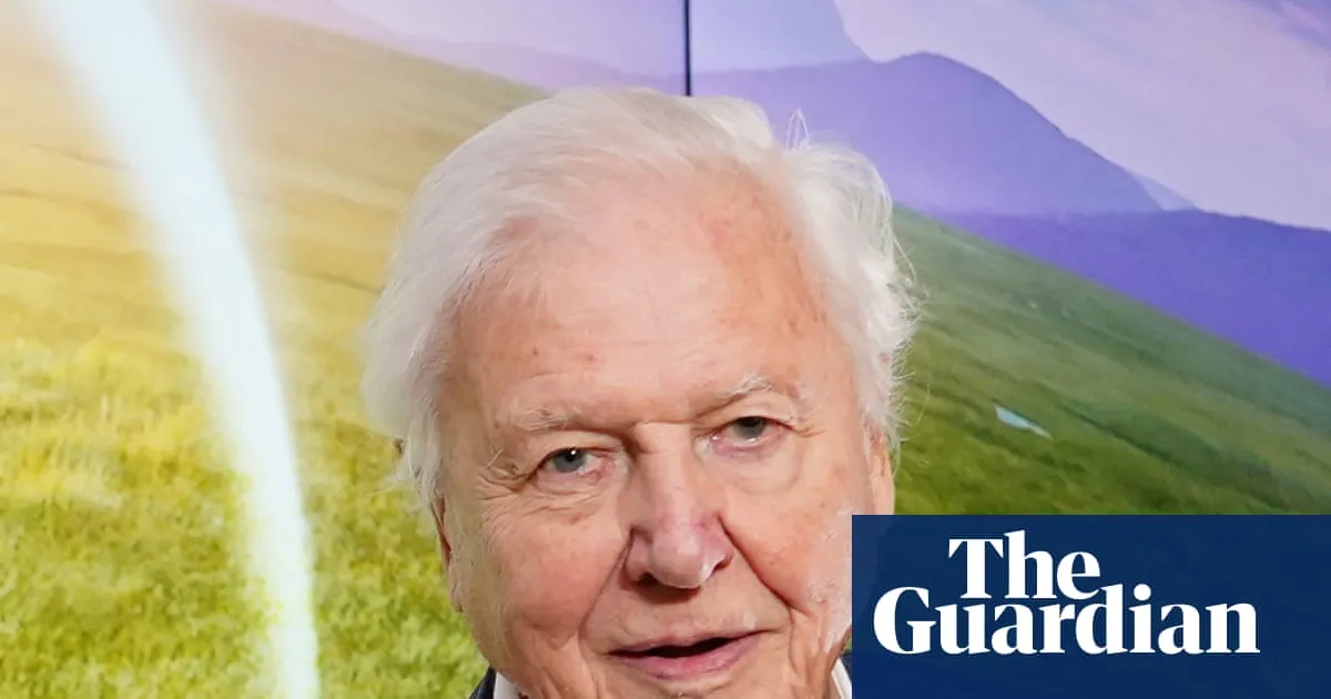 ‘The greatest ambassador for life on Earth’: Tributes paid to David Attenborough on his 100th birthday