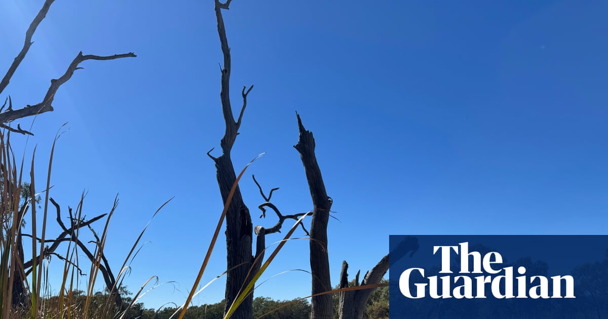 Water flows to parched NSW wetlands could be turned back on within weeks as drought fears loom