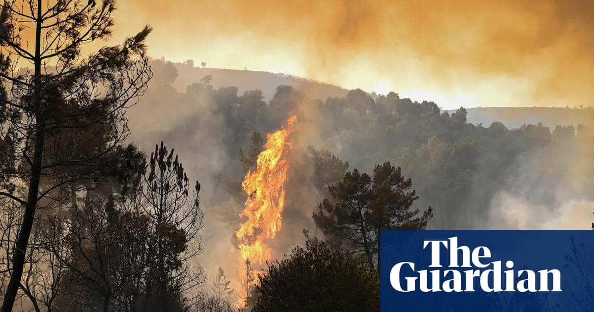 Inequality causing 100,000 extra deaths a year from heat and cold in Europe
