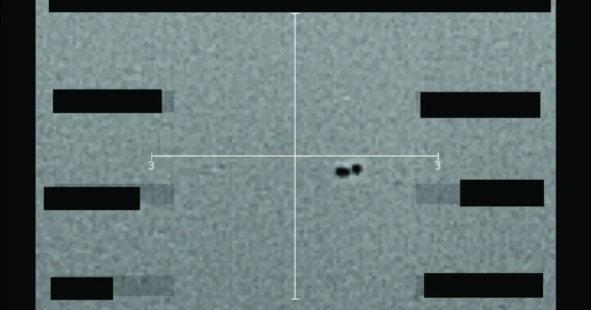 ‘Make up their own minds’: Pentagon releases first tranche of UFO files