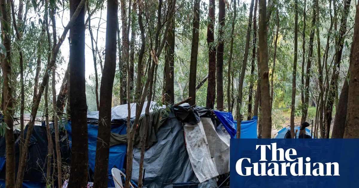 ‘A sobering indictment’: 14 homeless people die a year in public parks or countryside in Australia, analysis finds
