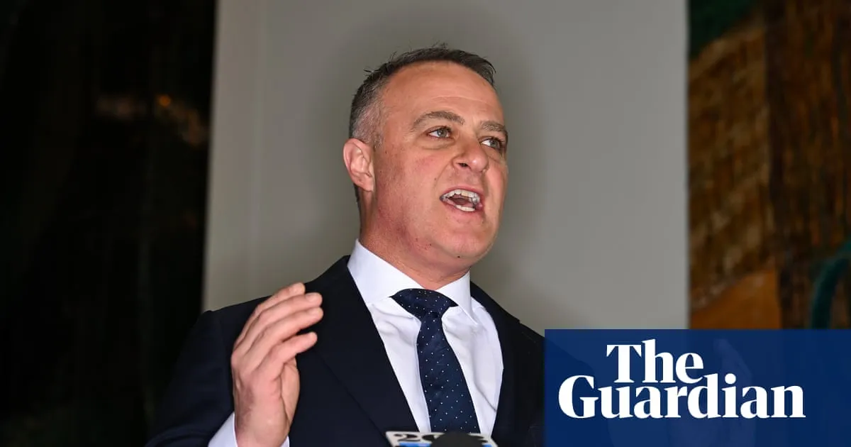 ‘Never, ever’: Tim Wilson walks back comments on potential One Nation rightwing alliance