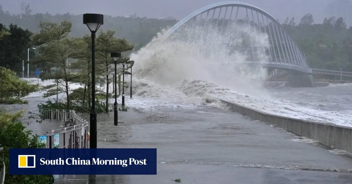 Hong Kong braces for typhoon season with 50,000 sandbags, flood barriers