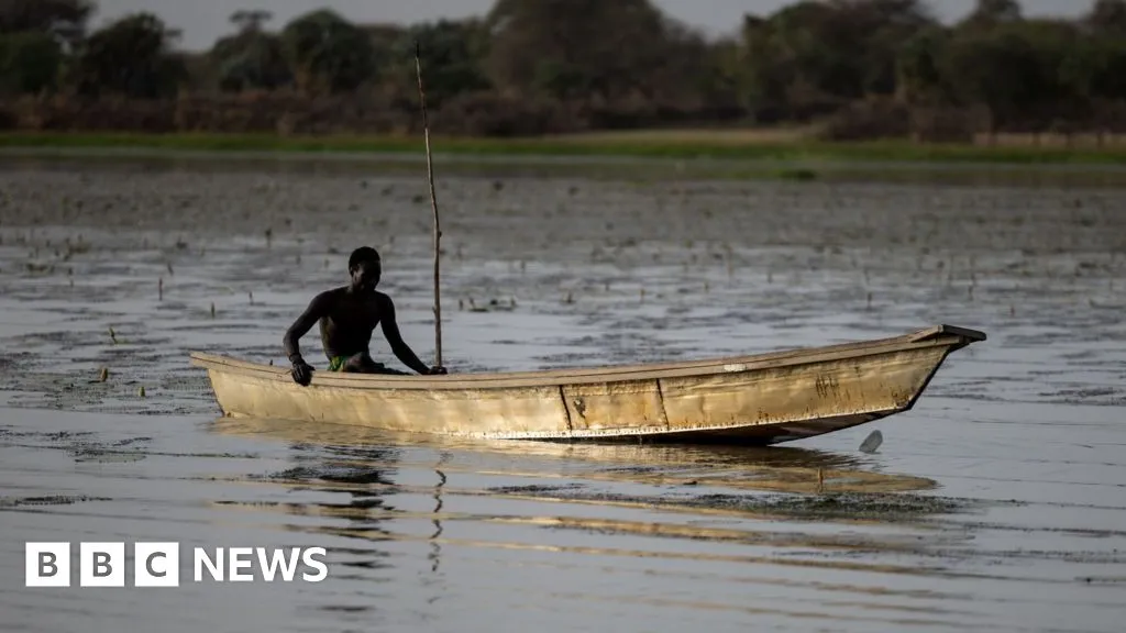 Dozens of Nigerian fishermen feared dead after Chad air strikes on Boko Haram