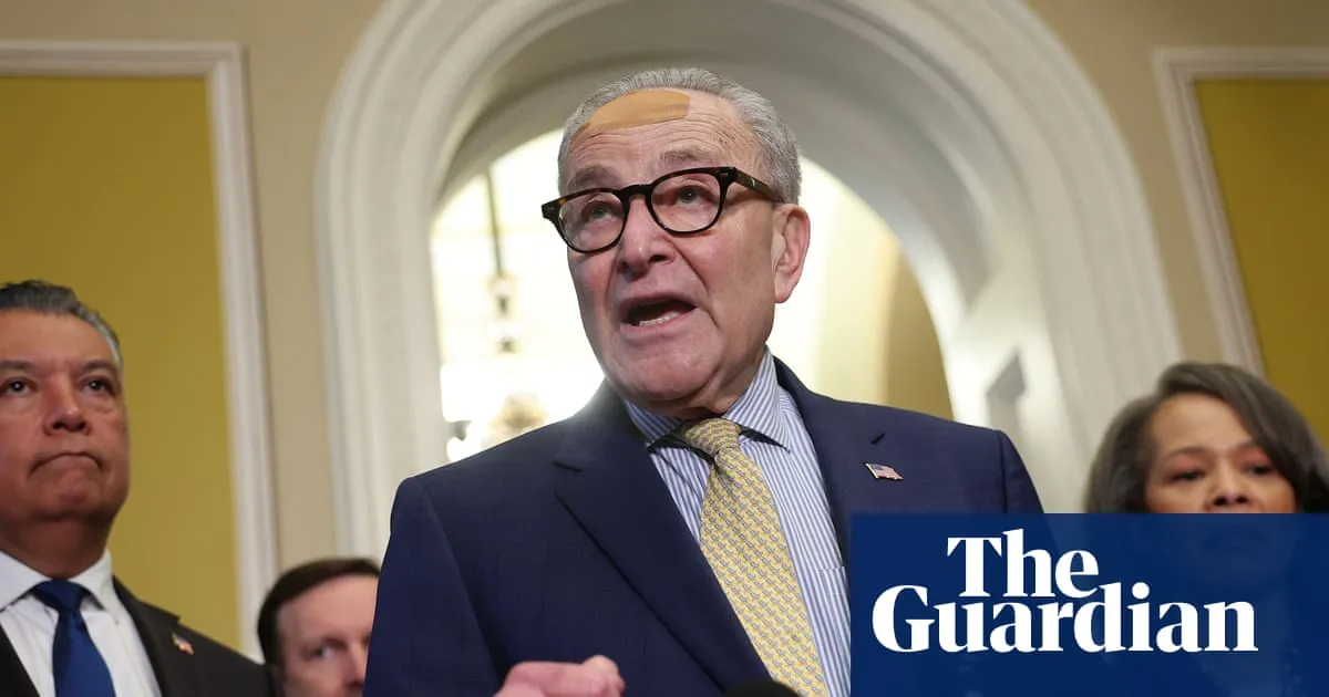 Senate Democrats to fight Republicans’ $1bn funding plan for Trump’s ballroom