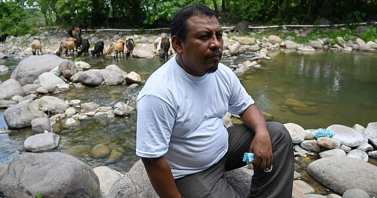 Honduras mayor arrested for masterminding environmentalist’s killing
