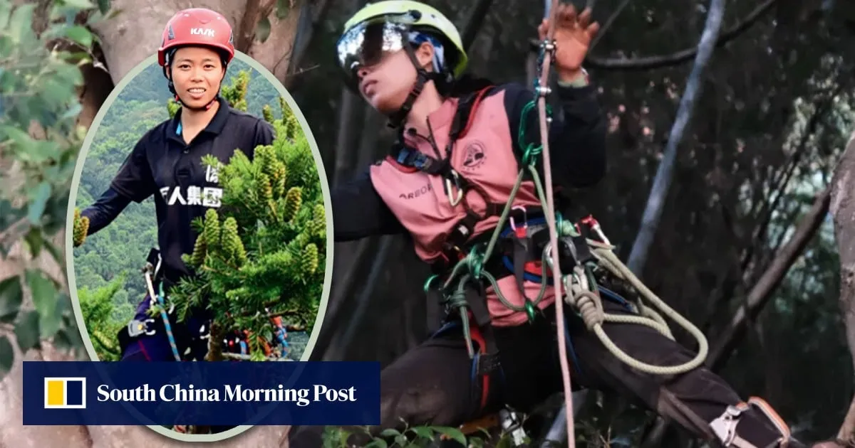 China’s first female expert tree climber transforms fear of heights into thriving career