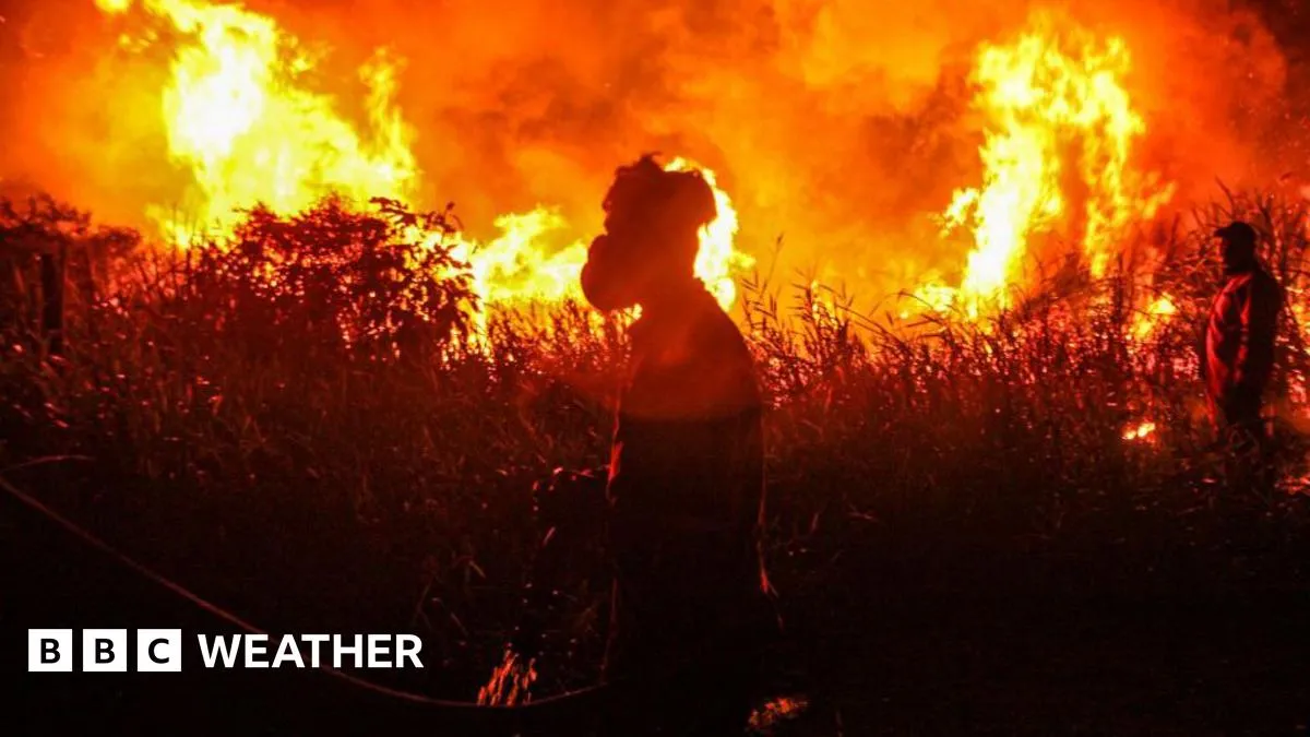 Warning of record global temperatures as chance of very strong El Niño grows
