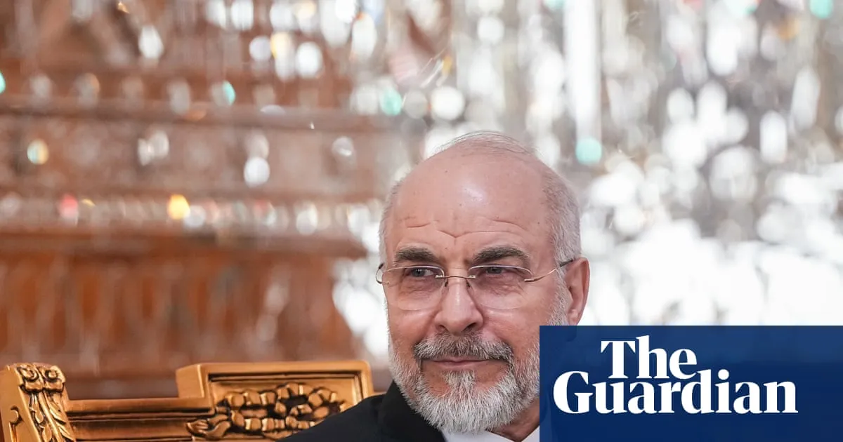 Prominent Australian academic denies links to powerful Iranian politician