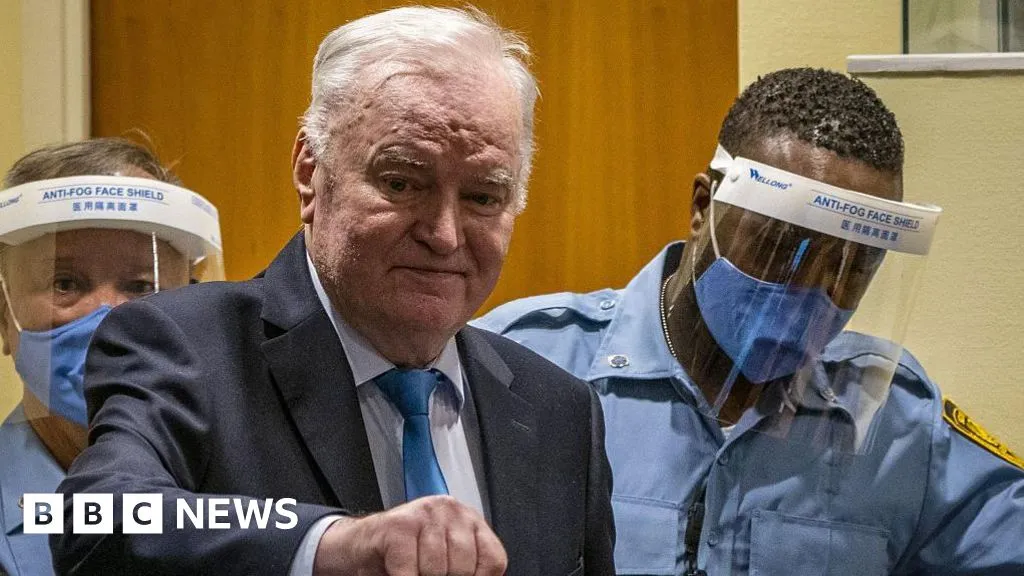 War criminal Ratko Mladić's jail release request denied