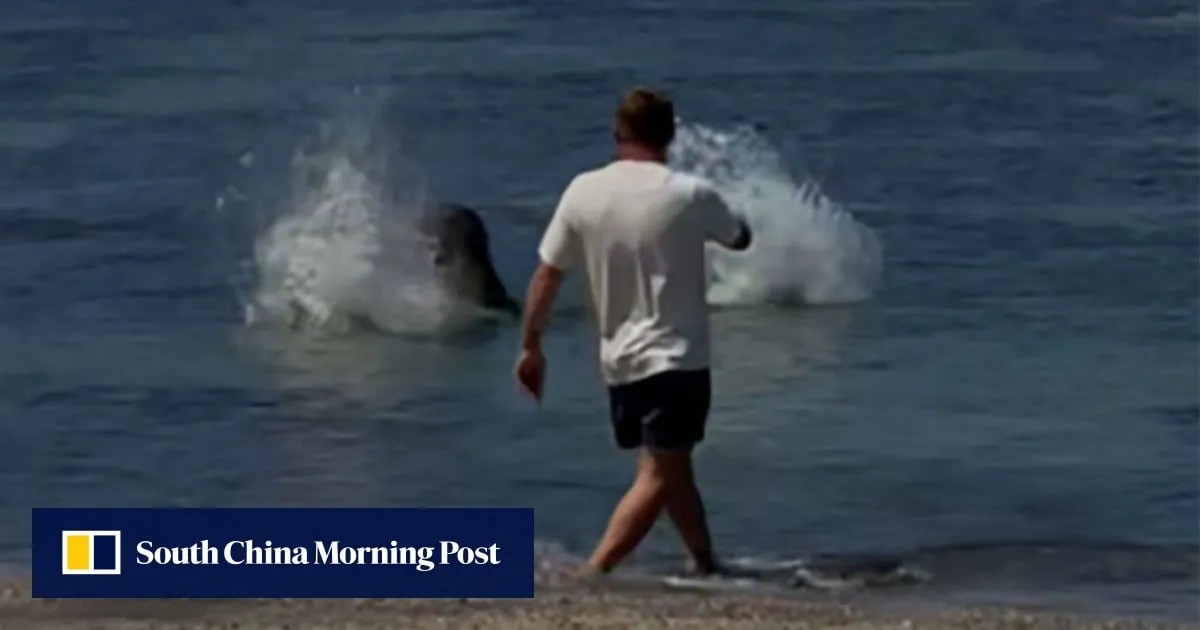 US tourist arrested for allegedly throwing rock at endangered Hawaiian monk seal