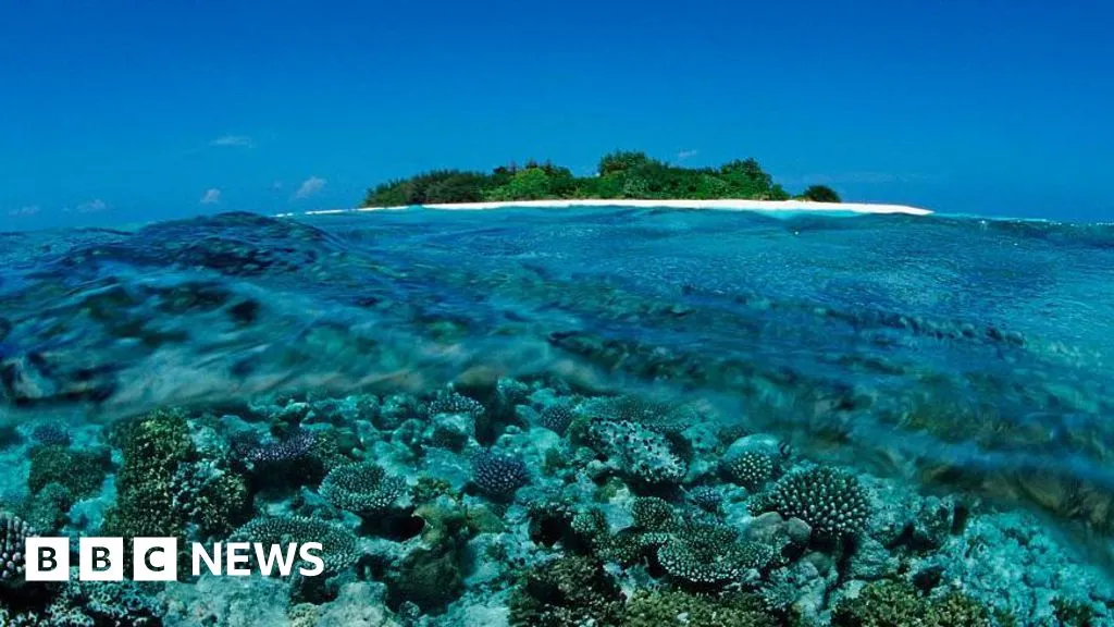 Five Italians die during cave dive in Maldives