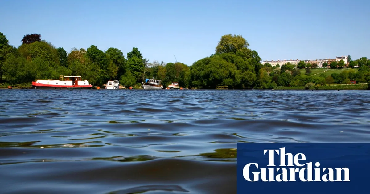 River Thames in London gets first official bathing spot on Friday