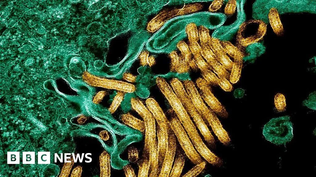New outbreak of Ebola kills 65 in eastern DR Congo