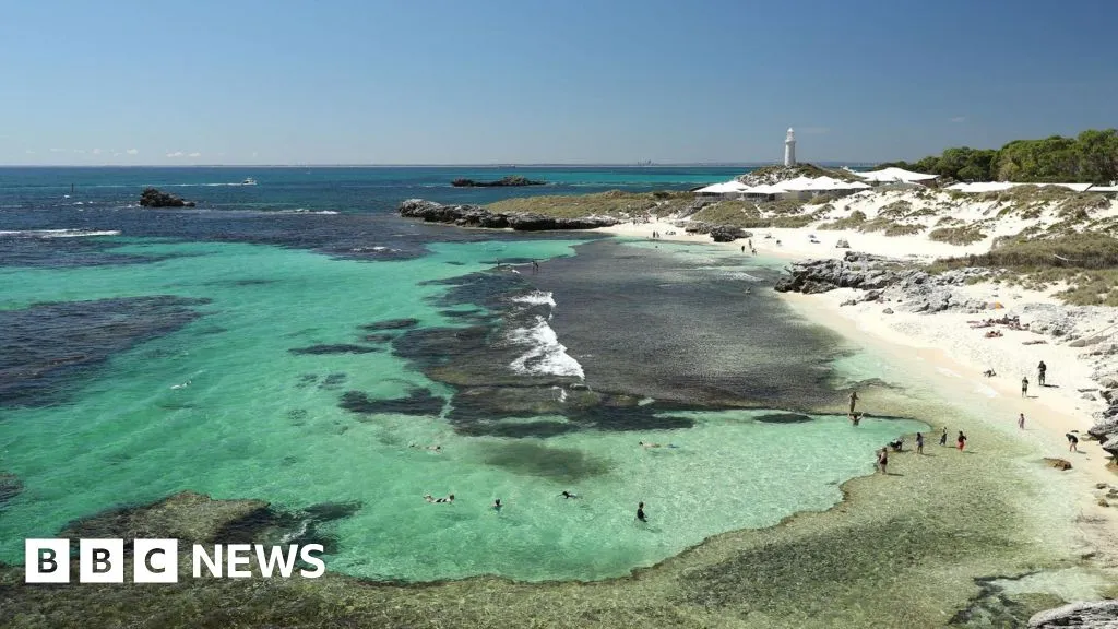 Man killed by 13ft great white shark in Western Australia