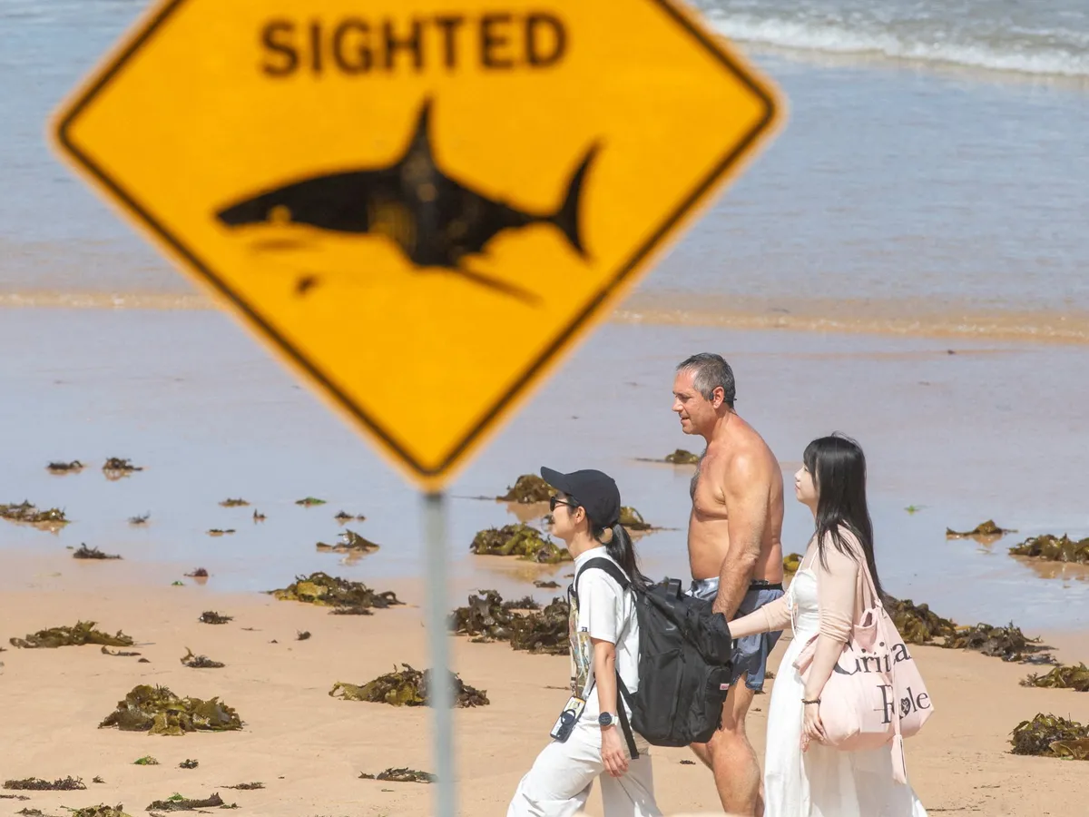 Man killed in great white shark attack in western Australia