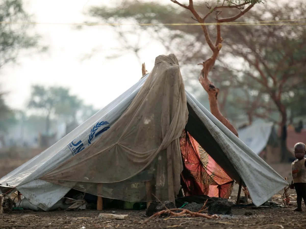 Sudanese army captures key town near Ethiopian border from RSF