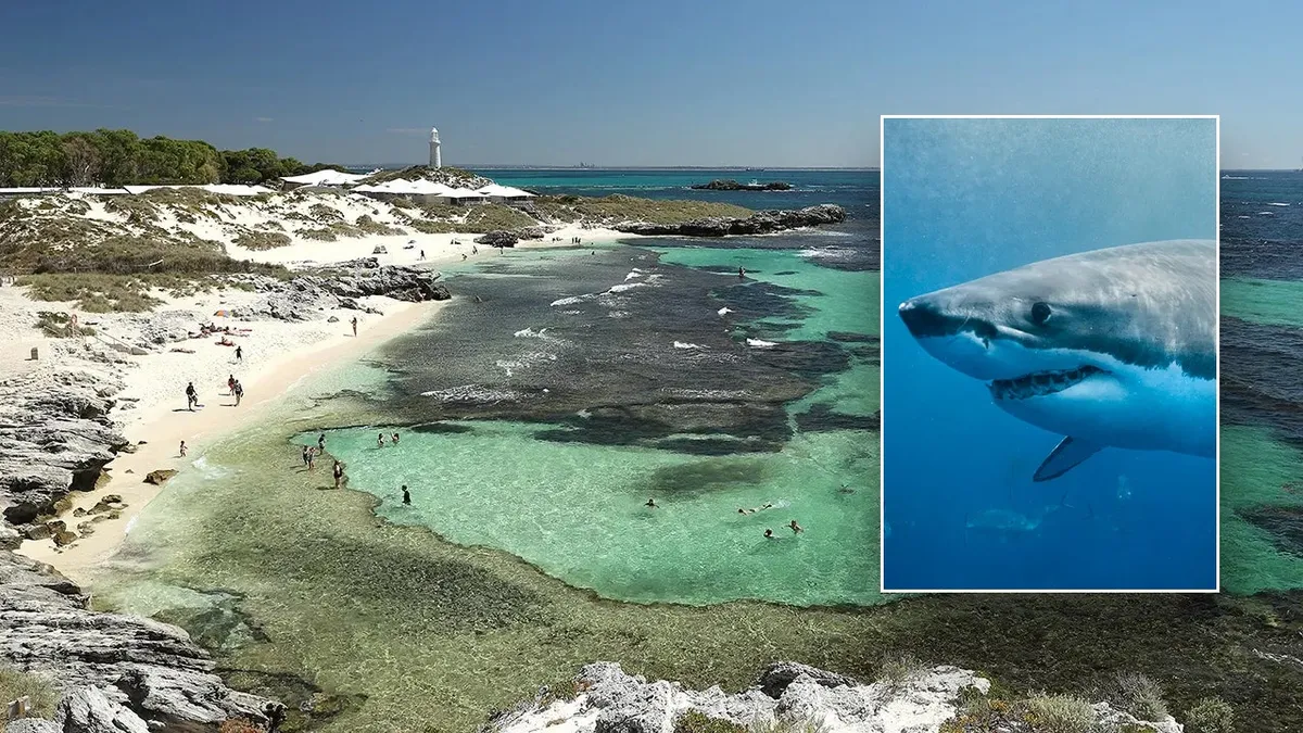 Man dies after attack by 13-foot great white shark near popular island resort: officials