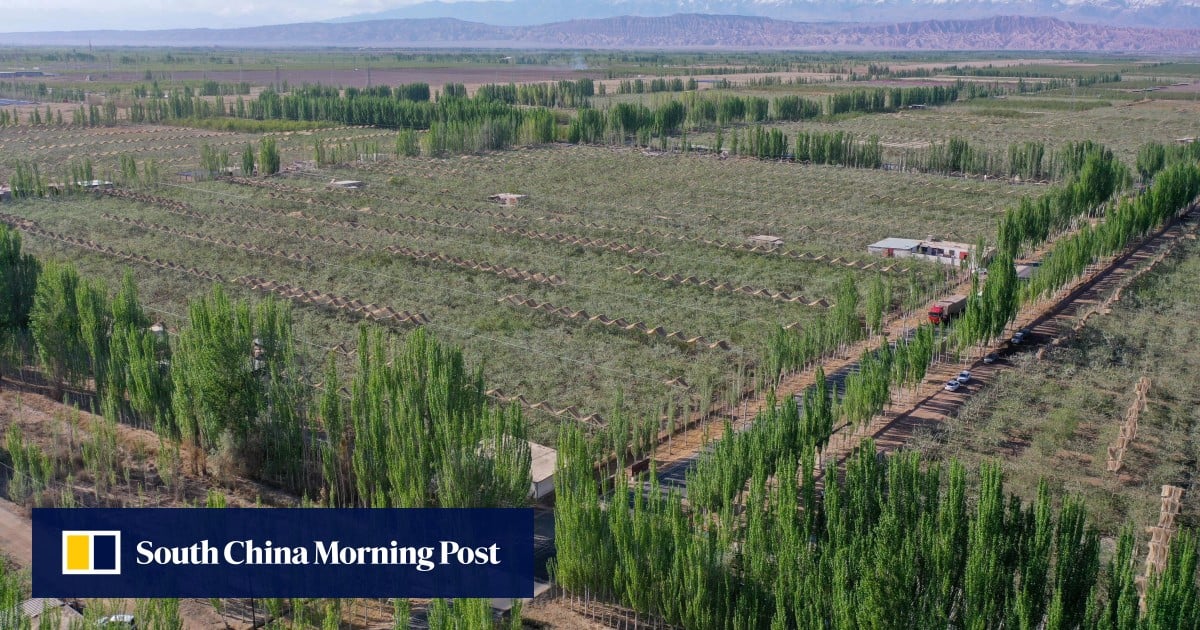 China launches new war on deserts with technology tested on far side of the moon