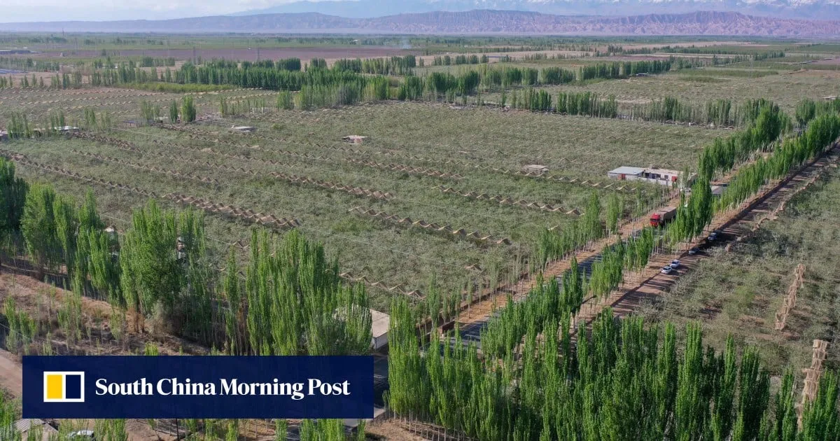 China launches new war on deserts with technology tested on far side of the moon