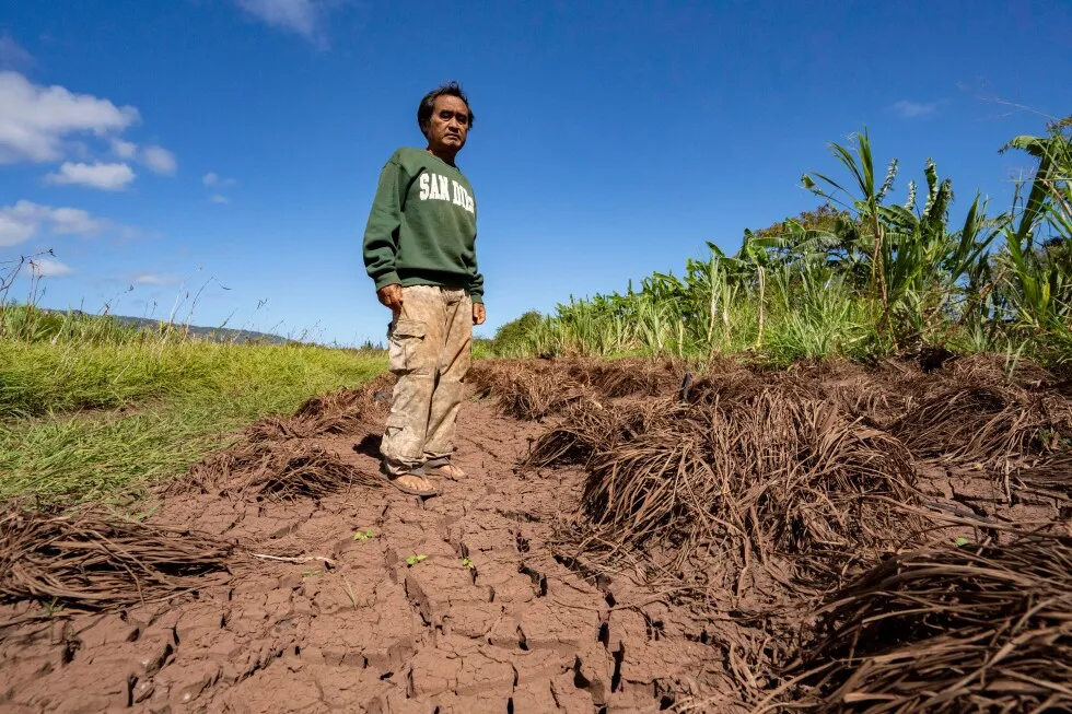 Hawaii’s worst flooding in 20 years leaves farmers struggling and fewer veggies at the market