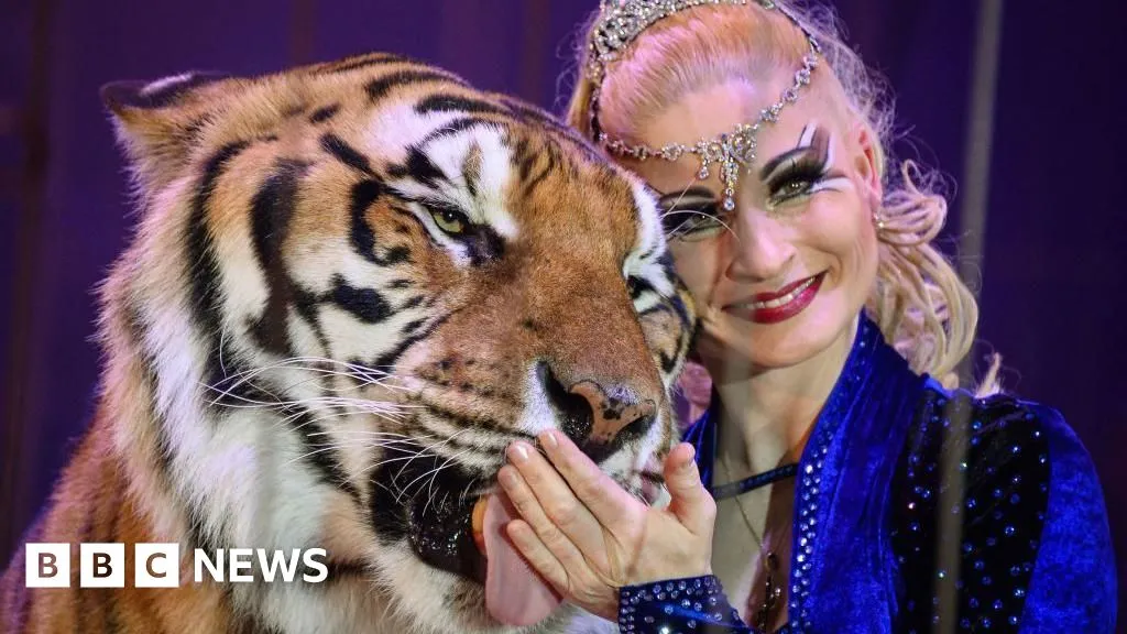 Escaped tiger shot by German police after attacking man