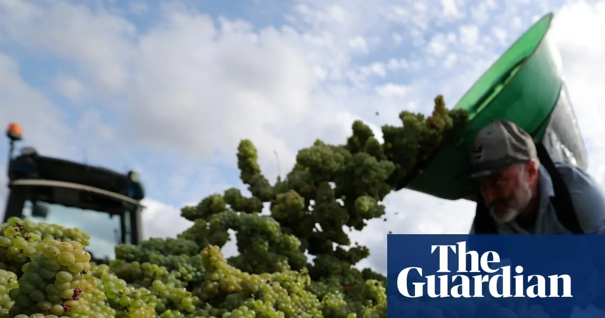 Weather tracker: Europe braces for swing from Arctic chill to extreme heat